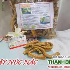 Cây núc nác [Hình ảnh, công dụng, cách dùng] Mua ở đâu chất lượng tốt nhất?