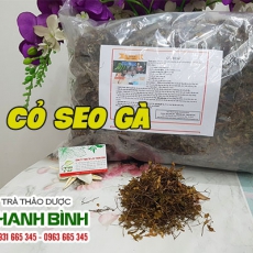 Cỏ seo gà [Hình ảnh, công dụng, cách dùng] Mua ở đâu chất lượng tốt nhất???