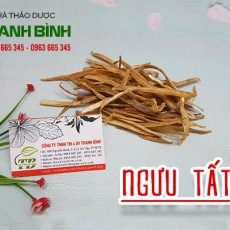 Ngưu tất [Hình ảnh, công dụng, cách dùng] Mua ở đâu chất lượng tốt nhất?