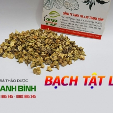 Bạch tật lê [Hình ảnh, công dụng, cách dùng] Mua ở đâu chất lượng tốt nhất???