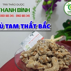 Củ tam thất bắc [Hình ảnh, công dụng, cách dùng] Mua ở đâu chất lượng tốt nhất???
