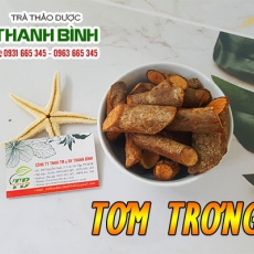 Tơm trơng [Hình ảnh, công dụng, cách dùng] Mua ở đâu chất lượng tốt nhất?