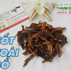 Cốt toái bổ - Dược liệu có công dụng điều trị đau lưng tại Quận 2