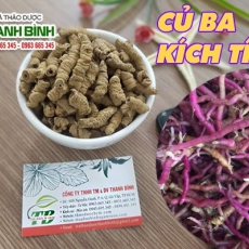 Mua bán củ ba kích tím ở huyện Cần Giờ có tác dụng khỏe gân cốt hiệu quả nhất