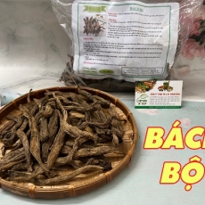 Củ bách bộ [Hình ảnh, công dụng, cách dùng] Mua ở đâu chất lượng?