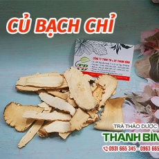Củ bạch chỉ [Hình ảnh, công dụng, cách dùng] Mua ở đâu chất lượng tốt nhất???