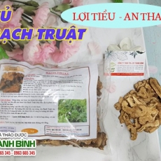 Mua bán củ bạch truật tại quận 10 có tác dụng duy trì sức khỏe hiệu quả tốt nhất