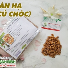 Mua bán bán hạ tại quận 3 có tác dụng hỗ trợ trị ho nhiều đờm tốt nhất