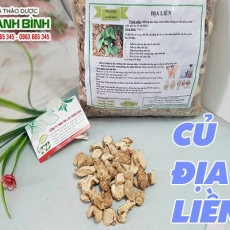Mua bán củ địa liền tại quận 7 có khả năng trị cảm sốt rất hiệu quả tốt nhất
