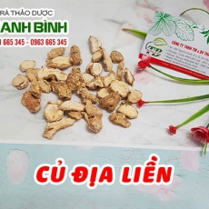 Củ địa liền [Hình ảnh, công dụng, cách dùng] Mua ở đâu chất lượng tốt nhất???