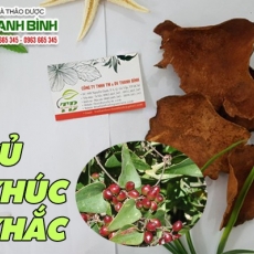 Mua bán củ khúc khắc tại quận 1 có tác dụng trị phong tê thấp an toàn nhất