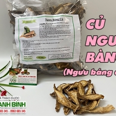 Mua bán củ ngưu bàng ở quận Gò Vấp giúp chữa miệng khát, sốt cao hiệu quả tốt nhất