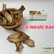 Củ ngưu bàng [Hình ảnh, công dụng, cách dùng] Mua ở đâu chất lượng tốt nhất???