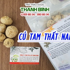 Củ tam thất nam [Hình ảnh, công dụng, cách dùng] Mua ở đâu chất lượng tốt nhất???
