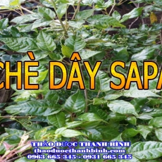 Cửa hàng bán chè dây tại Bà Rịa Vũng Tàu giúp thanh nhiệt giải độc