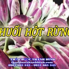 Cửa hàng bán chuối hột rừng tại Bà Rịa - Vũng Tàu giúp chữa đau lưng mỏi cơ