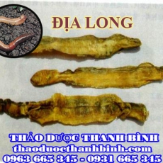 Cửa hàng bán địa long tại Hải Dương giúp điều trị hen suyễn ho bí tiểu