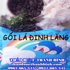 Cửa hàng bán gối lá đinh lăng tại Đồng Nai giúp chữa mất ngủ tốt nhất