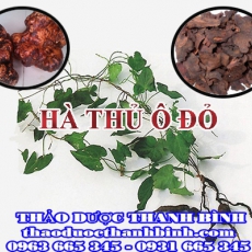 Cửa hàng bán hà thủ ô đỏ tại Đà Nẵng giúp đen tóc mạnh gân cốt chữa thận suy