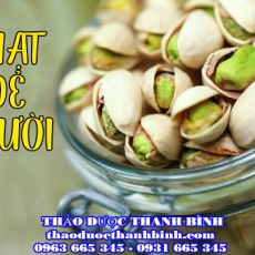 Cửa hàng bán hạt dẻ cười tại Hà Tĩnh bồi bổ cơ thể tốt nhất