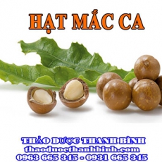 Cửa hàng bán hạt mắc ca tại Cà Mau giúp bổ sung chất dinh dưỡng tốt nhất