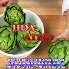 Cửa hàng bán hoa atiso tại Bắc Kạn giúp thanh nhiệt giải độc tốt nhất