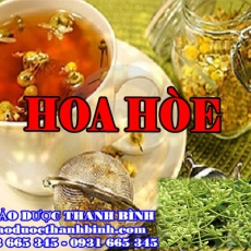 Cửa hàng bán hoa hòe tại Bình Thuận giúp hạ huyết áp tốt nhất