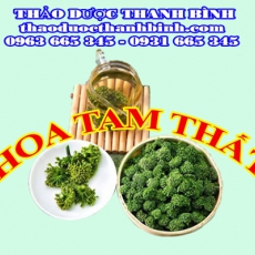 Cửa hàng bán hoa tam thất tại Bạc Liêu giúp ngăn ngừa vết rạn da