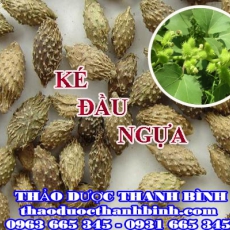 Cửa hàng bán ké đầu ngựa tại Điện Biên giúp điều trị bướu cổ viêm mũi thấp khớp