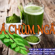 Cửa hàng bán lá chùm ngây tại Bà Rịa Vũng Tàu giúp chống ung thư