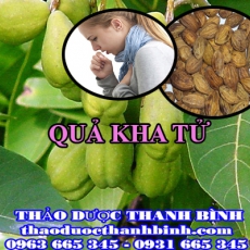 Cửa hàng bán quả kha tử tại Hà Nội giúp điều trị ho viêm họng viêm amidal tiêu đờm