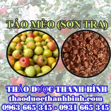 Cửa hàng bán quả táo mèo (sơn tra) tại Bình Phước giúp ngăn ngừa xơ vữa động mạch an thần