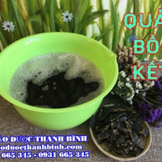 Cửa hàng bán trái bồ kết tại Hà Giang ngăn ngừa rụng tóc tốt nhất