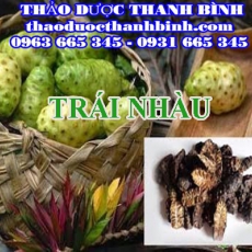 Cửa hàng bán trái nhàu khô tại Bình Thuận giúp lợi tiểu trị đau nhức xương khớp