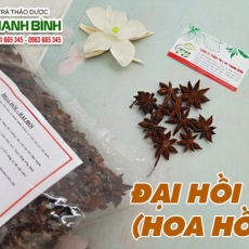 Mua bán đại hồi ở huyện Nhà Bè giúp trị đau mỏi lưng tốt nhất