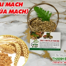 Đại mạch (lúa mạch) [Hình ảnh, công dụng, cách dùng] Mua ở đâu chất lượng tốt nhất?