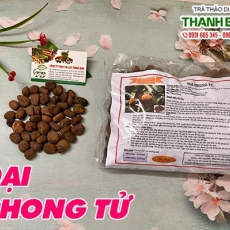Đại phong tử [Cách dùng, Hình ảnh, Công dụng] Mua ở đâu chất lượng tốt nhất???