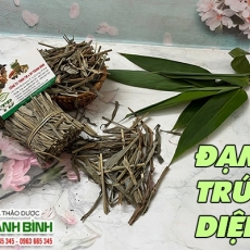 Mua bán đạm trúc diệp tại quận 11 giúp trị sốt nóng an toàn nhất