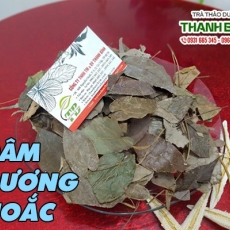 Mua bán dâm dương hoắc tại quận 11 giúp trị vô sinh an toàn nhất