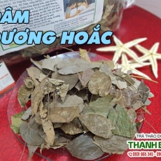 Dâm dương hoắc [Hình ảnh, công dụng, cách dùng] Mua ở đâu chất lượng tốt nhất?