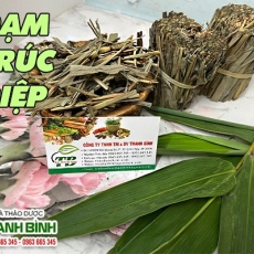 Đạm trúc diệp [Hình ảnh, công dụng, cách dùng] Mua ở đâu chất lượng tốt nhất?