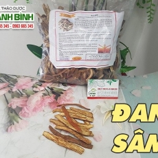 Mua bán đan sâm tại quận 8 có tác dụng ức chế tế bào ung thư