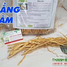 Mua bán đẳng sâm ở huyện Cần Giờ có tác dụng trị rong kinh hiệu quả nhất