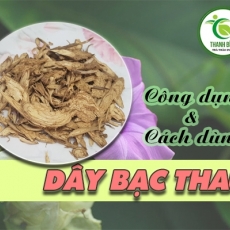 Dây bạc thau [Hình ảnh, công dụng, cách dùng] Mua ở đâu chất lượng tốt nhất?