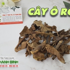 Địa chỉ bán cây ô rô có tác dụng giảm đau, tiêu sưng hiệu quả nhất