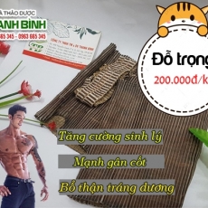 Địa chỉ bán đỗ trọng có tác dụng giúp bổ thận tráng dương hiệu quả nhất