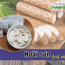 Địa chỉ bán hoài sơn có tác dụng giúp bổ phổi hiệu quả
