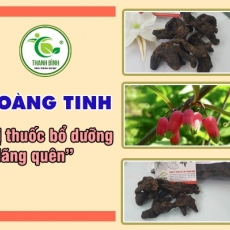 Địa chỉ bán hoàng tinh có tác dụng giúp trợ gân cốt hiệu quả nhất