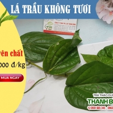 Địa chỉ bán lá trầu không có tác dụng giúp khử mùi hôi khó chịu hiệu quả nhất
