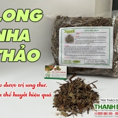 Địa chỉ bán long nha thảo có tác dụng ngăn ngừa ung thư hiệu quả nhất